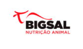 bigsal